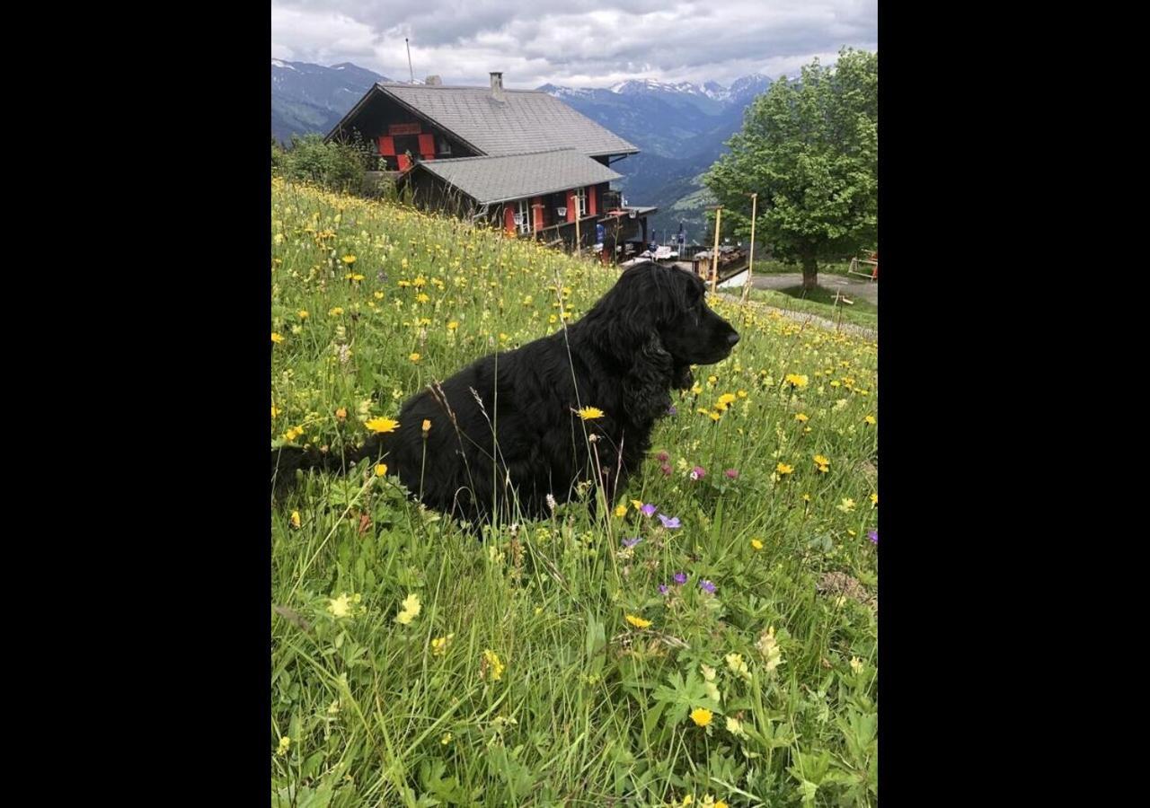 Bergpension Battagliahuette Malix Buitenkant foto